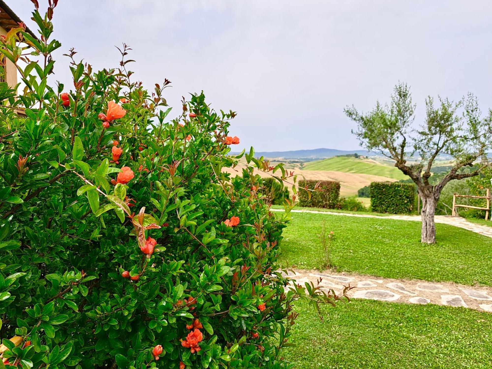 Agriturismo Caliano Asciano Esterno foto